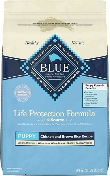 Is Blue Buffalo Good Dog Food: Food Review 2024